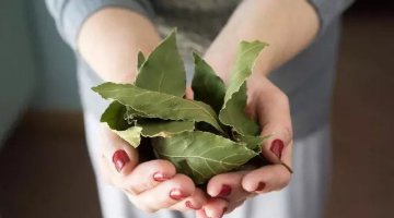 RITUAL CIGANO PARA TER SORTE