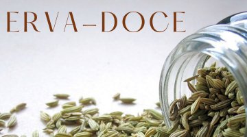 A ERVA DOCE E SUAS PROPRIEDADES