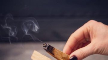 VOC CONHECE O PALO SANTO ?
