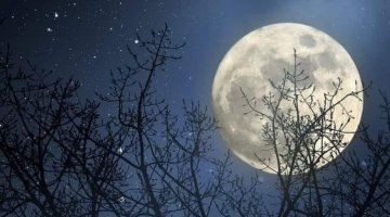 ORAO A LUA CHEIA