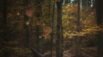 10 DICAS INFALVEIS DA BRUXA
