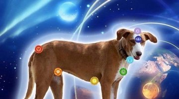A MISSO ESPIRITUAL DOS CES