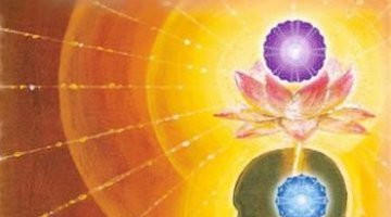 OS CHAKRAS